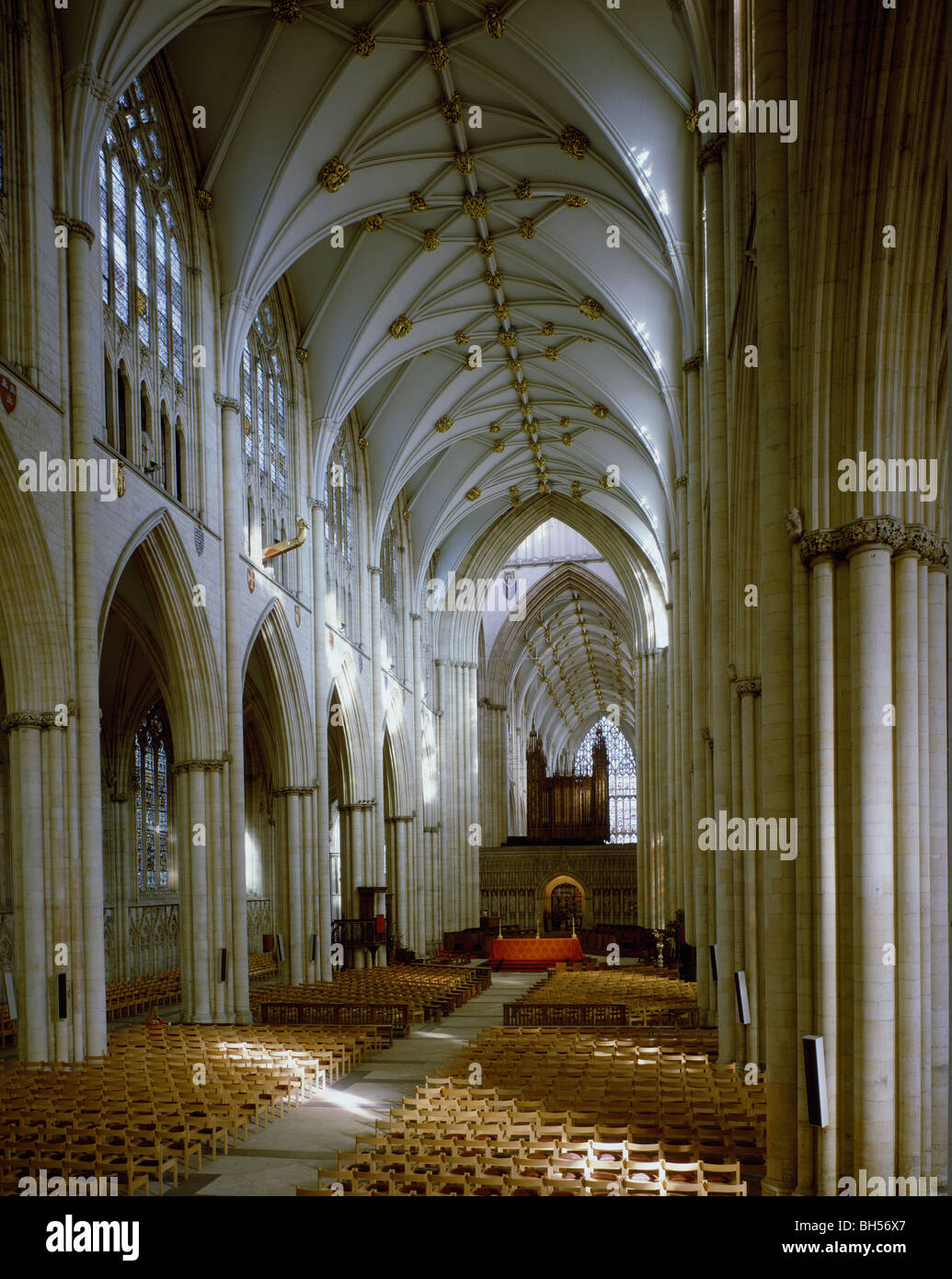 York Minster, das Hauptschiff, Blick nach Osten. Englisch 3. Jahrhundert gotisch, mit gewölbten Holzdecke. Seitlicher Blick. Stockfoto