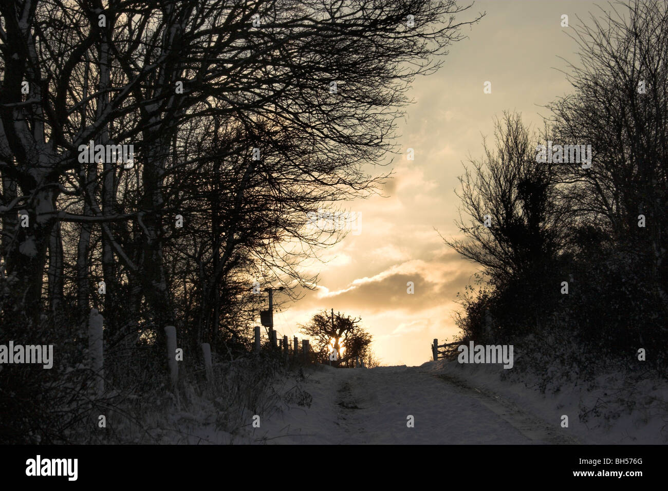 Schnee fällt auf den South Downs National Park und die vielen Spuren und Fußwege, die die Tiefen durchlaufen. Stockfoto