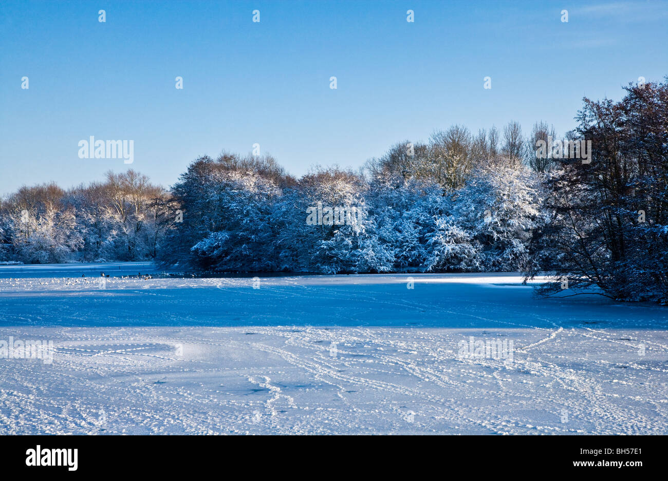 Das gefrorene Wasser eines kleinen Sees, bekannt als Liden Lagune in Swindon, Wiltshire, England, UK, aufgenommen im Januar 2010 Stockfoto