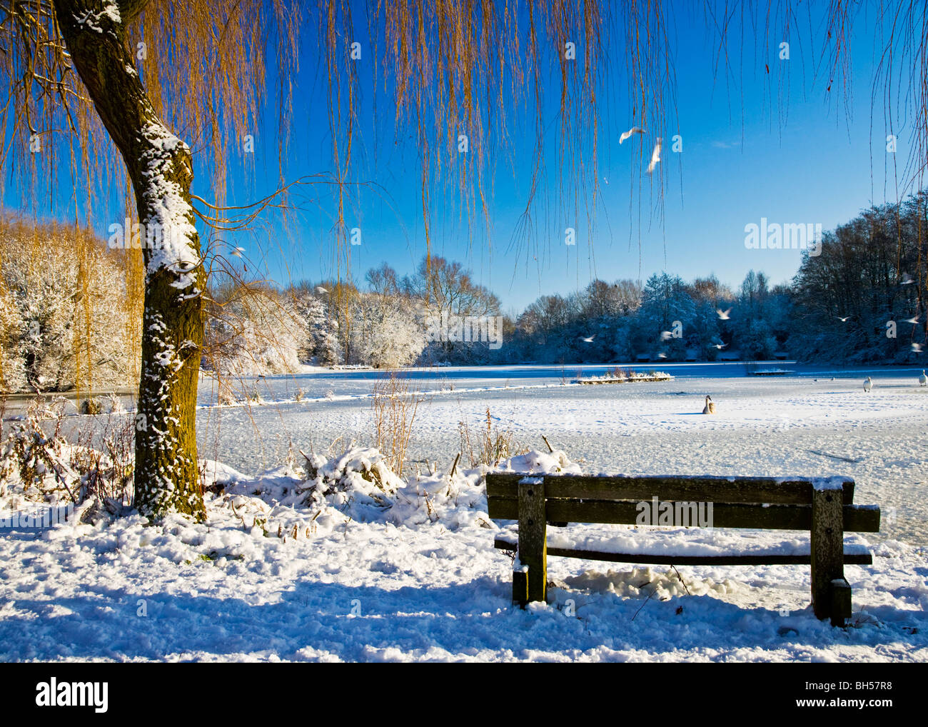 Das gefrorene Wasser eines kleinen Sees, bekannt als Liden Lagune in Swindon, Wiltshire, England, UK, aufgenommen im Januar 2010 Stockfoto