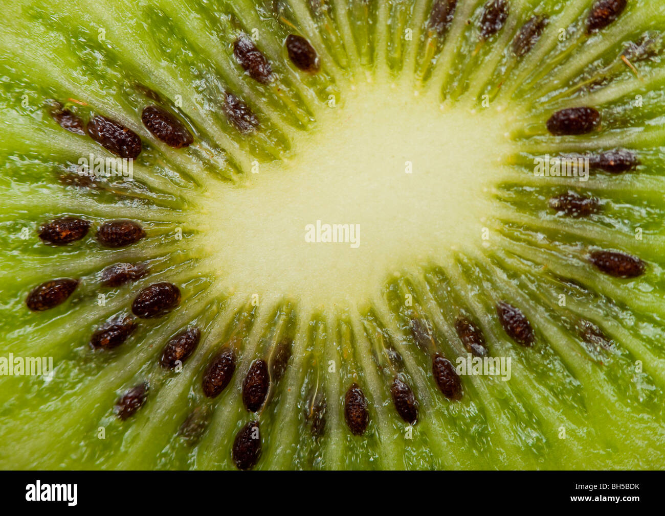 Extreme Makroaufnahme einer Kiwi. Einzelne Samen können gesehen werden. Stockfoto