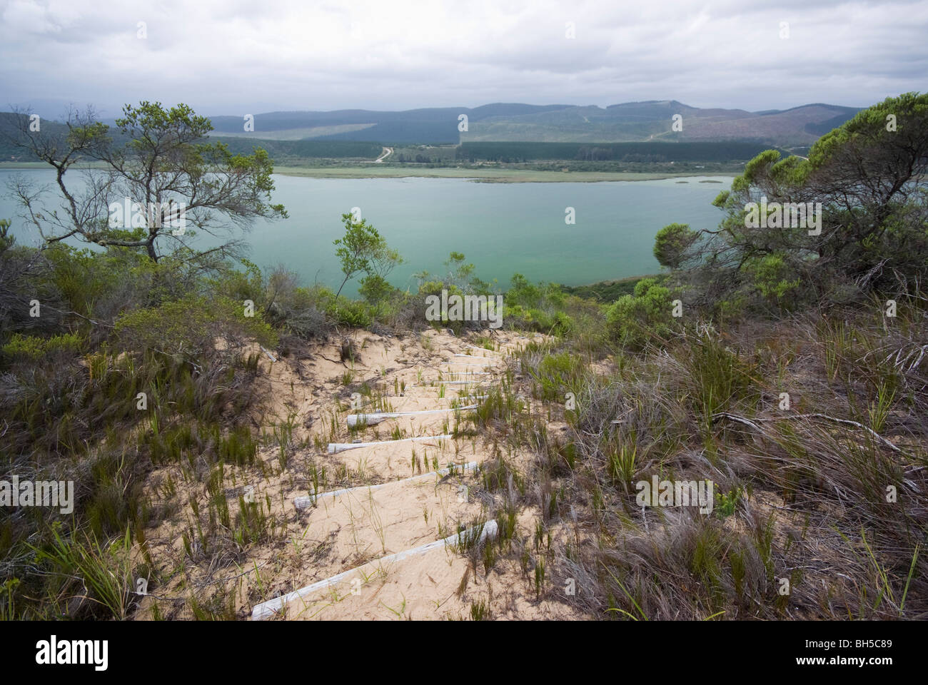 Blick vom alten Sanddünen im Goukamma Nature Reserve in Groenvlei, Sedgefield, Südafrika Stockfoto