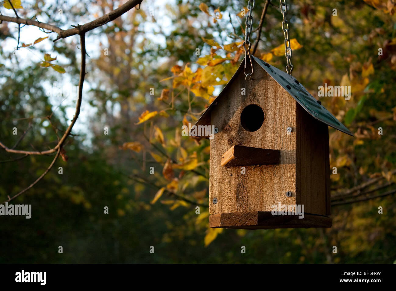 Vogelhaus Stockfoto