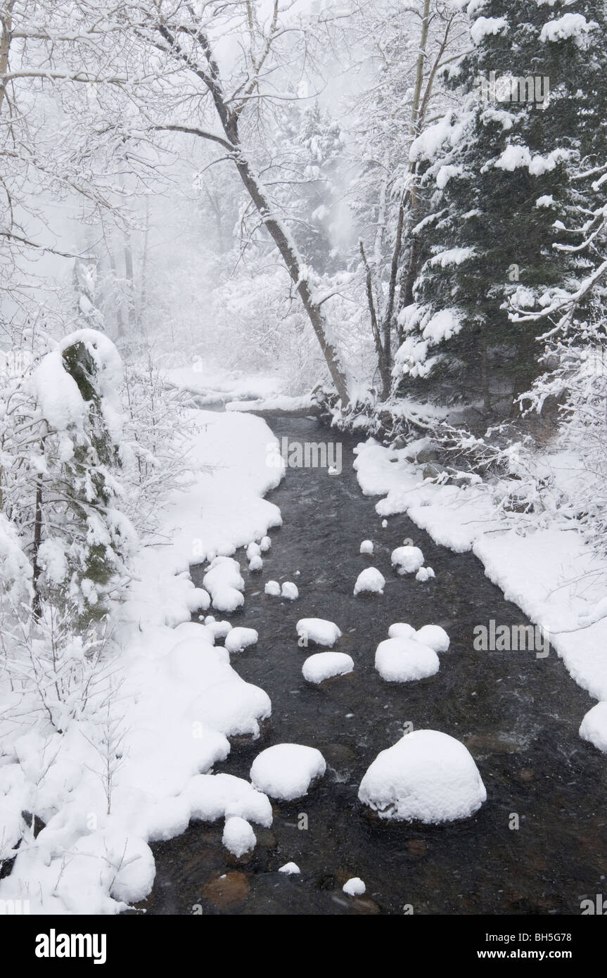 verschneite Landschaft auf Moose Creek während Schneesturm in Rimini Stockfoto