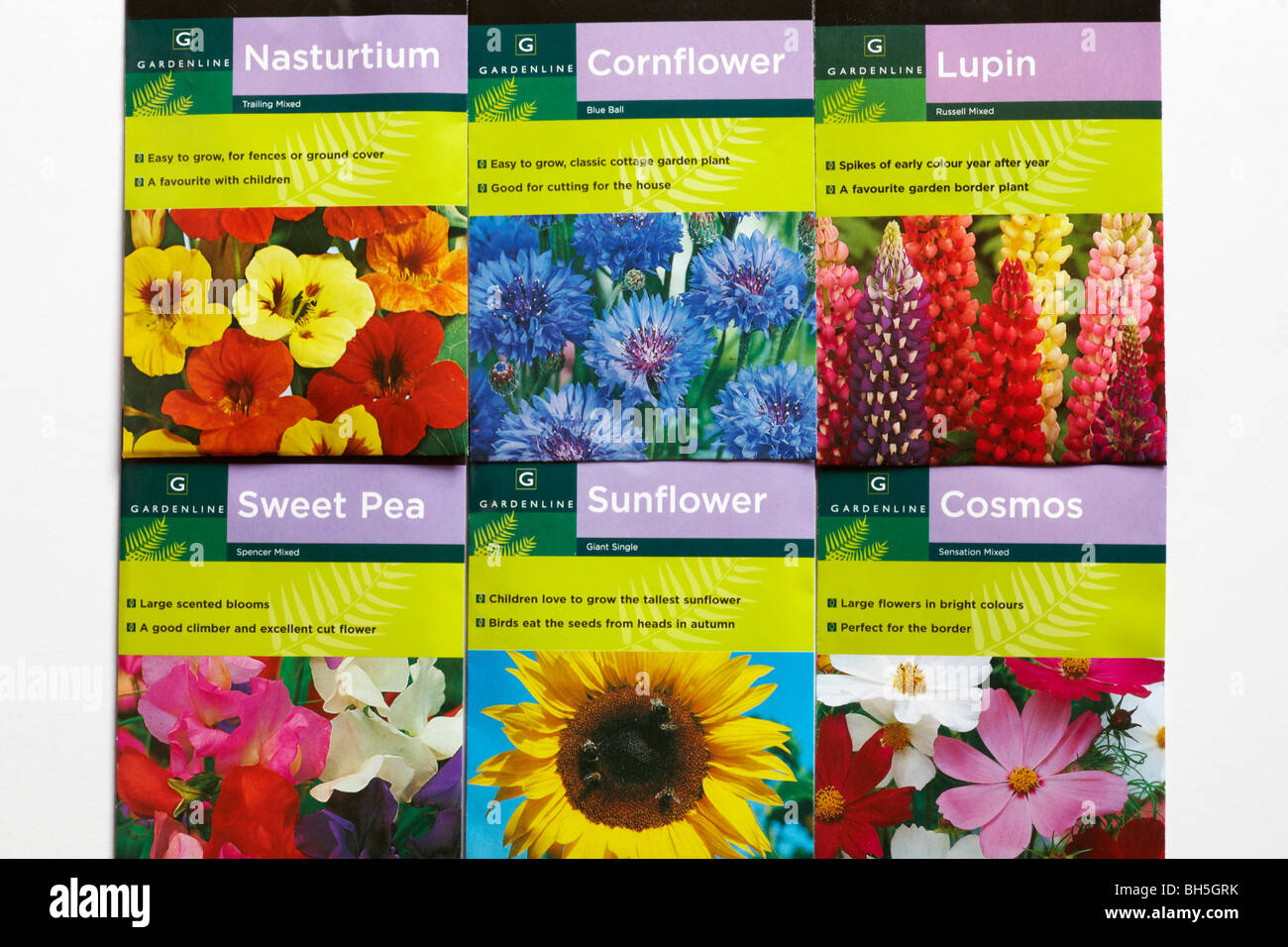 Pakete von Blumensamen Stockfotografie - Alamy