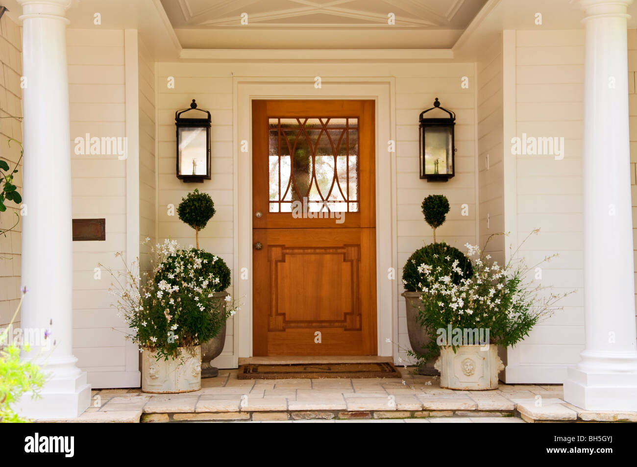 Luxus Haustür Stockfoto