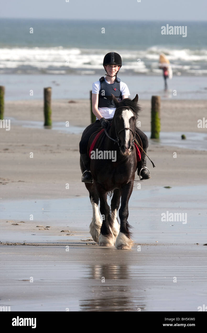 Pferd am Tyrella Strand mit Windsurfer im Hintergrund Stockfoto