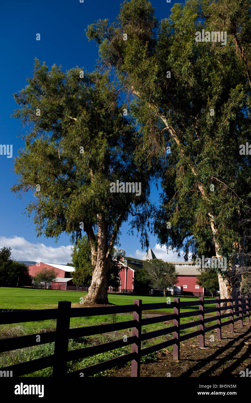 Die rote Scheune mit Zaun und große Bäume, Stanford University, Stanford, California, Vereinigte Staaten. Stockfoto