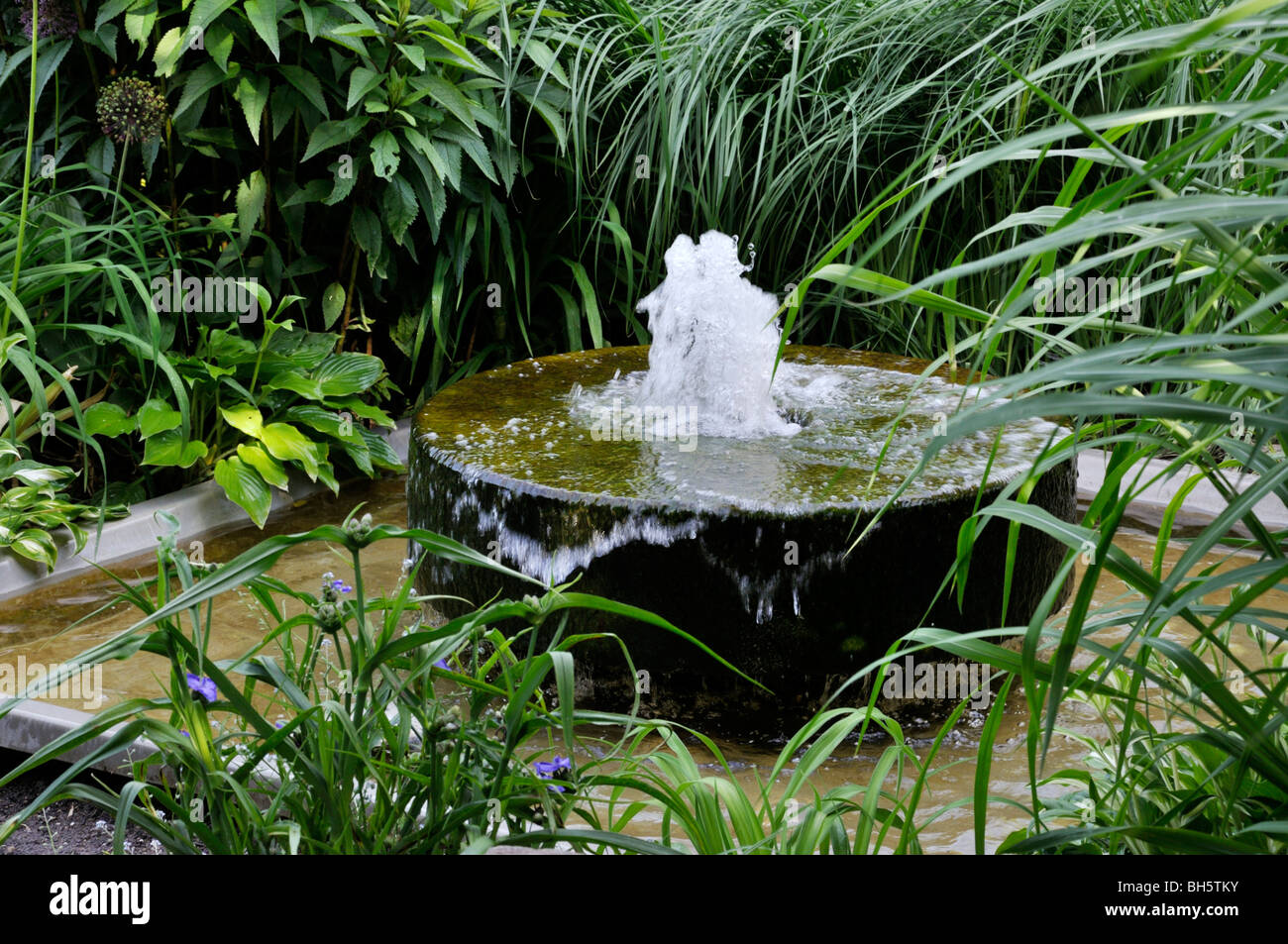 Mehrjährig Garten mit Springbrunnen Stockfoto