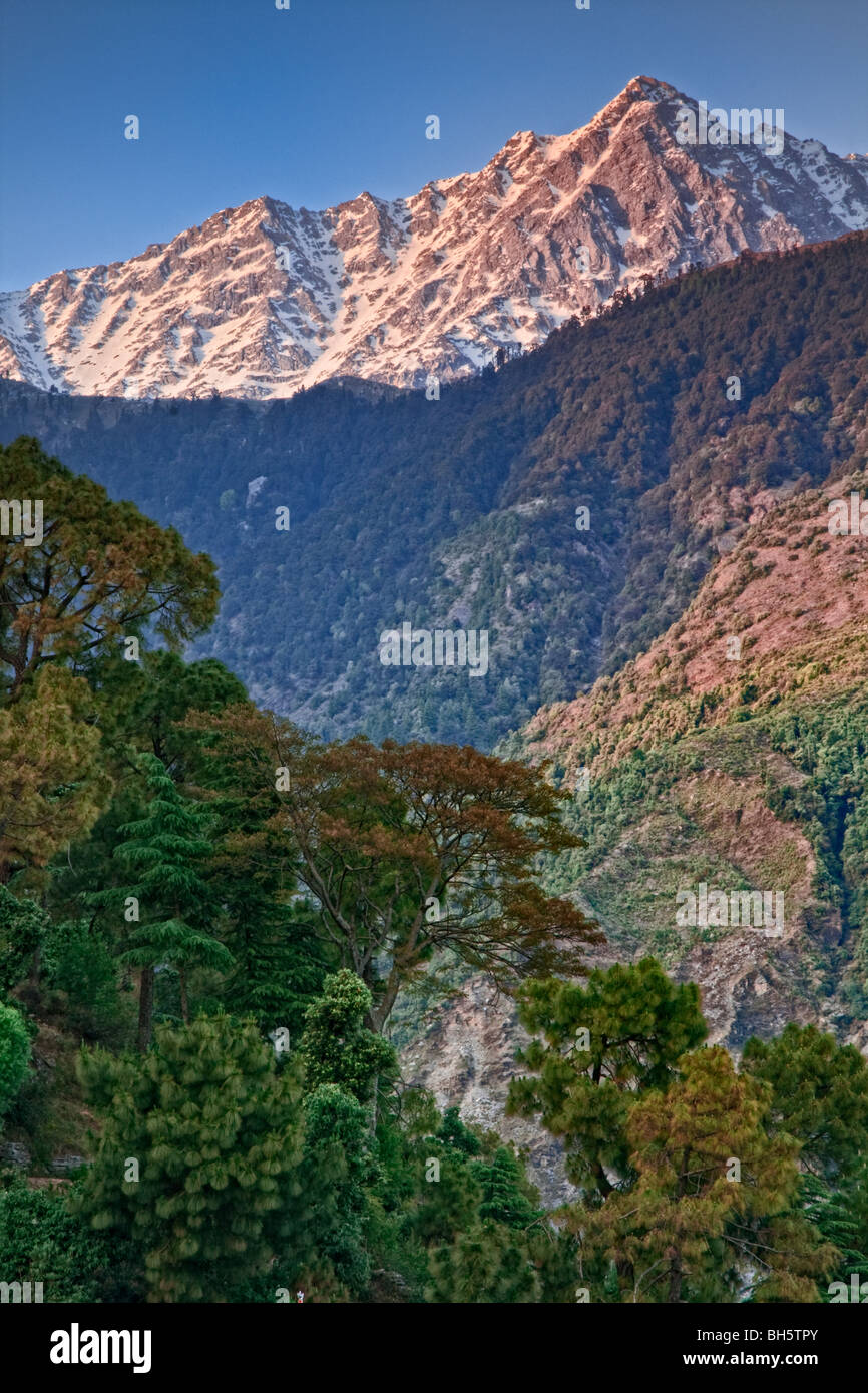Die Ausläufer des Himalaya von Dharamsala Stockfoto