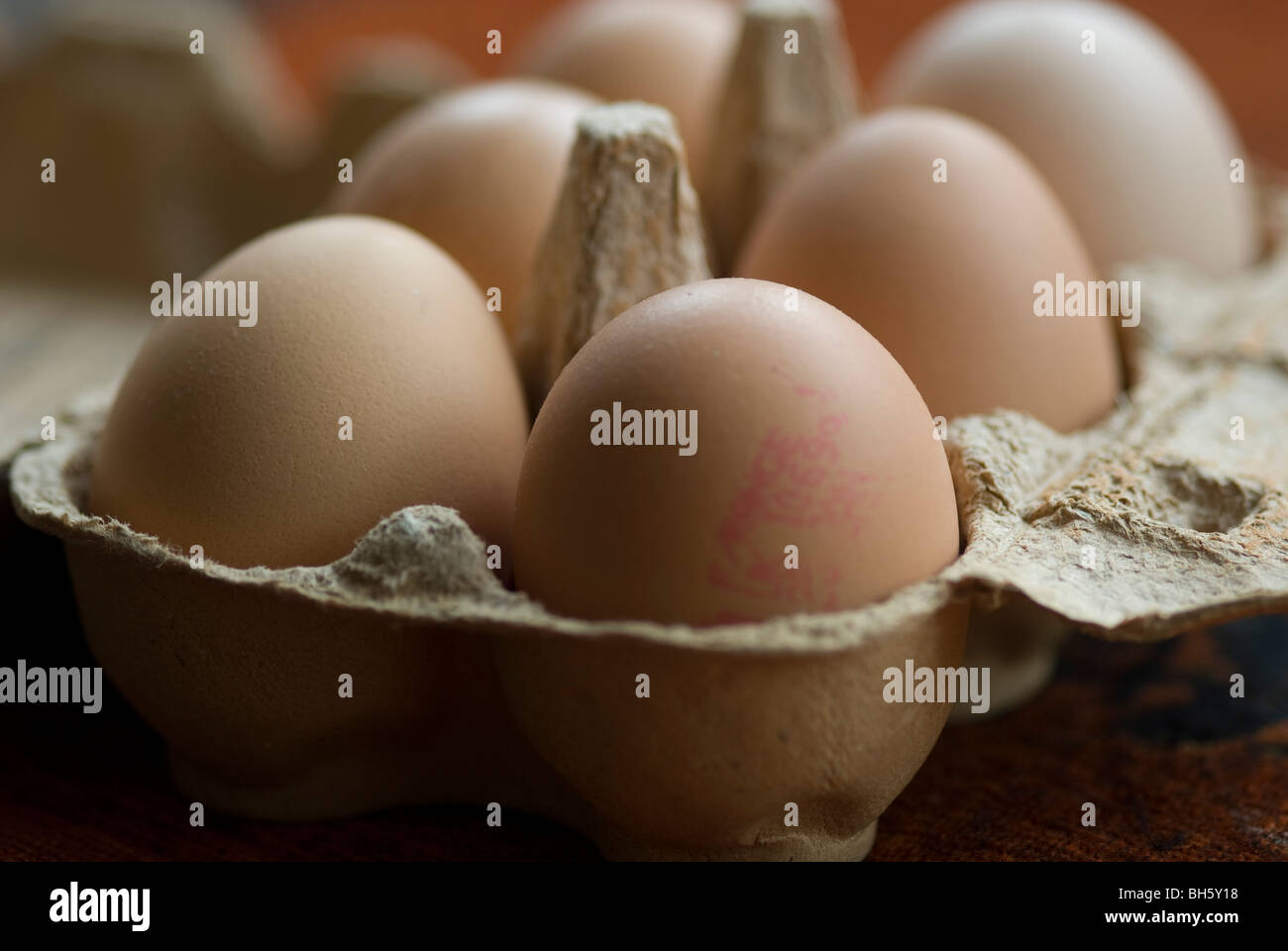 Bild von sechs Freilandeier in Großaufnahme ein ein Eierkarton genommen bei vorhandenem Licht Stockfoto