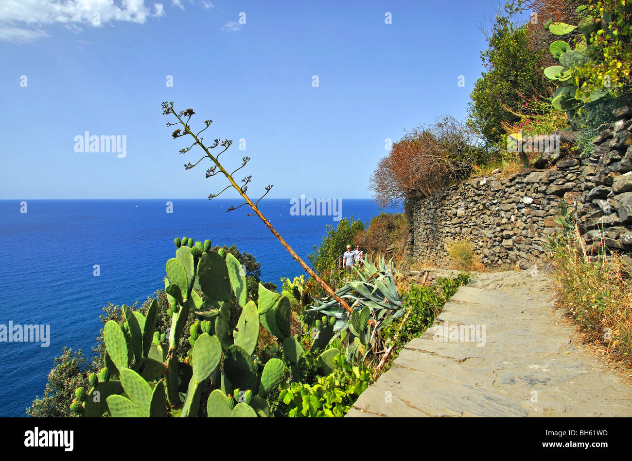 Vernazza Cinque Terre 5 Länder Italien Italia Stockfoto