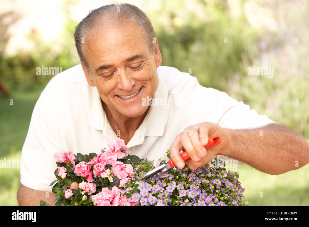 Senior woman Gardening Stockfoto