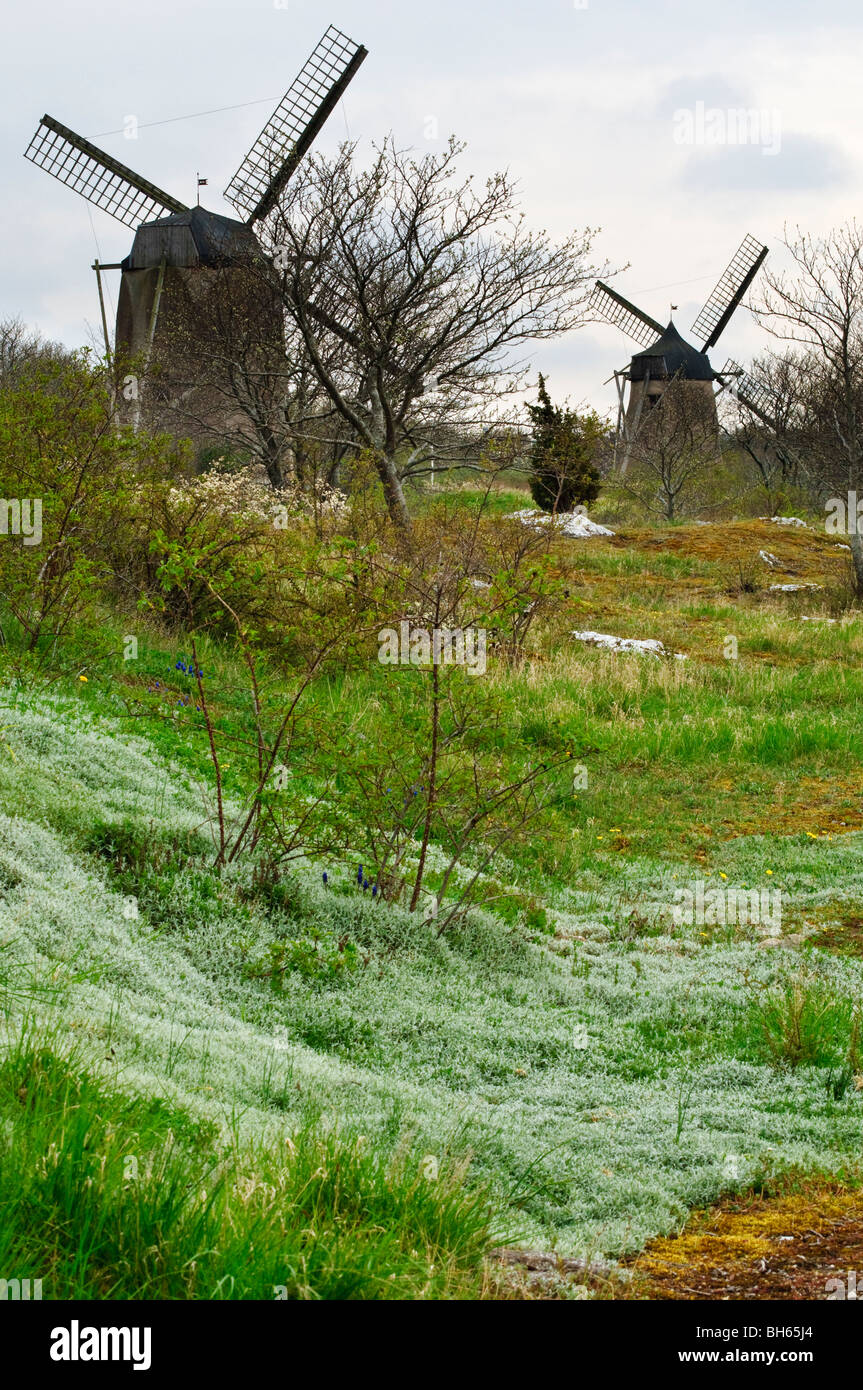 Traditionellen Windmühlen vor den Toren Visby, Gotland, Schweden Stockfoto