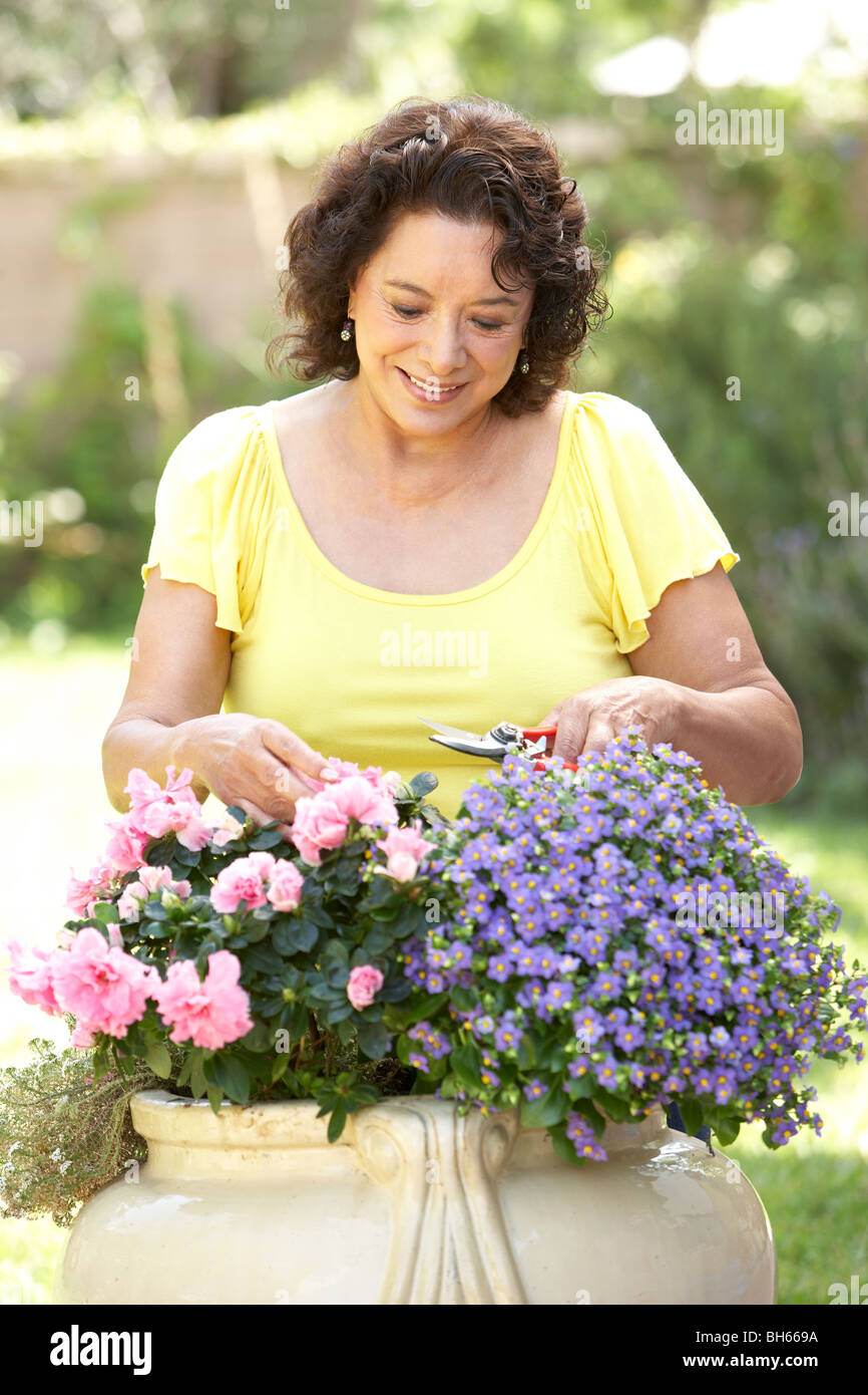 Senior Woman Gardening Stockfoto