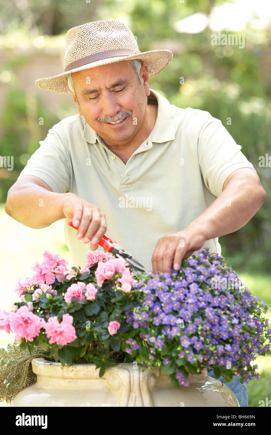 Senior woman Gardening Stockfoto