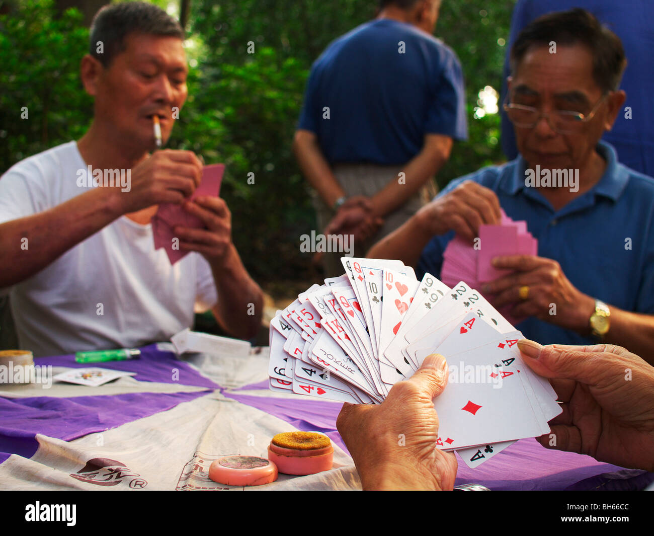 Chinesische Männer Spielkarten im Park in Shanghai Stockfoto