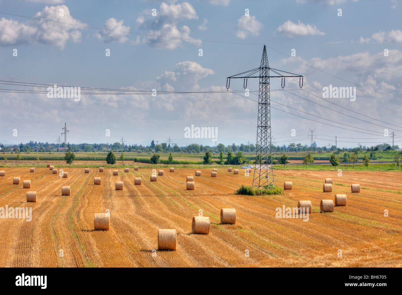 Strommasten und Weizenfeld, München, Bayern, Deutschland Stockfoto