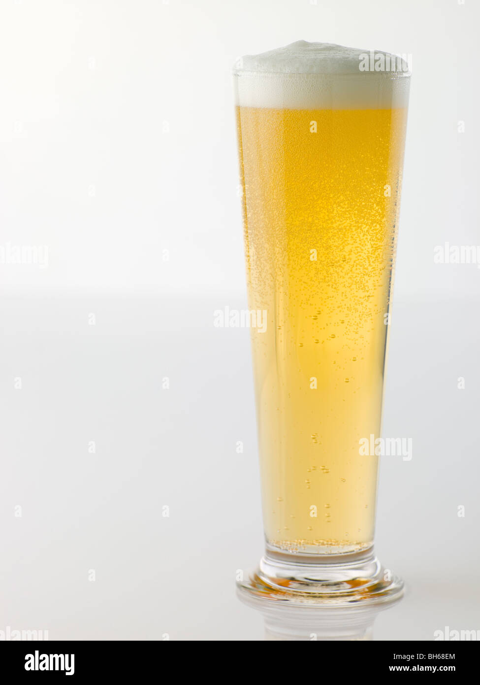 Glas Bier Stockfoto
