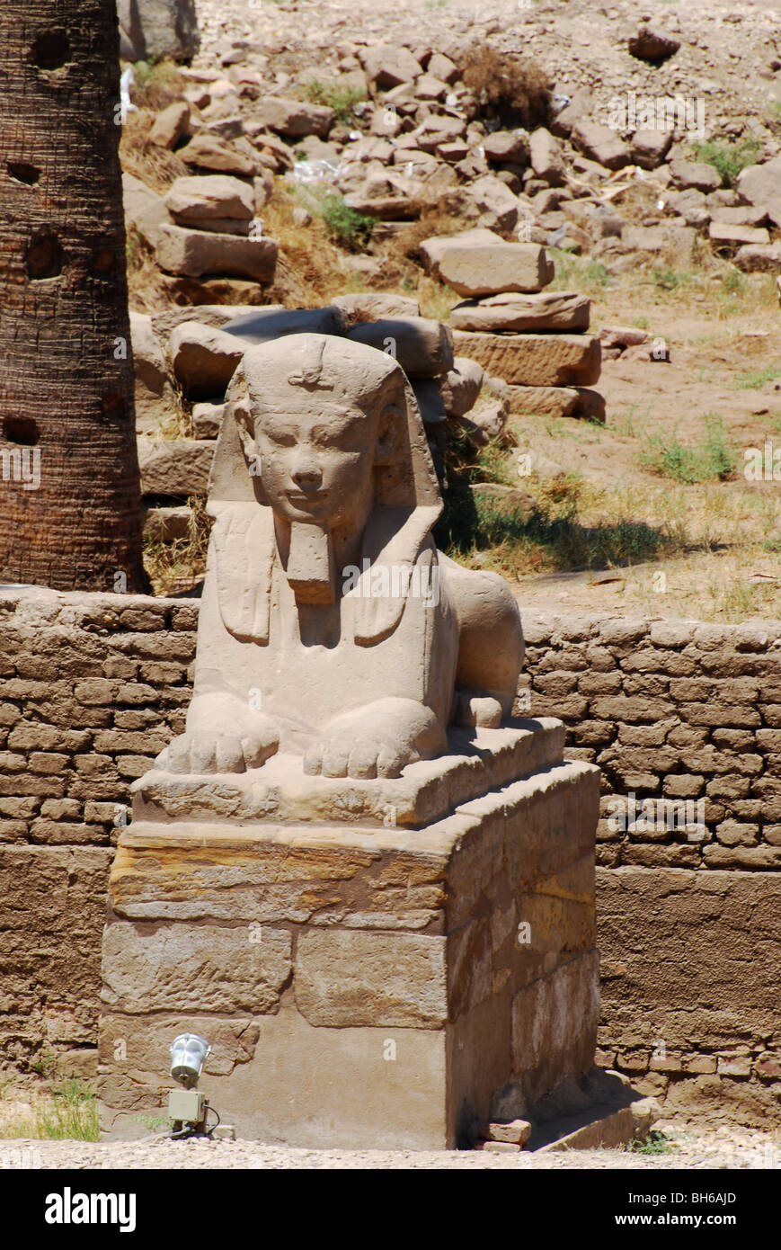 Sphinx in Luxor Anzahl 2871 Stockfoto