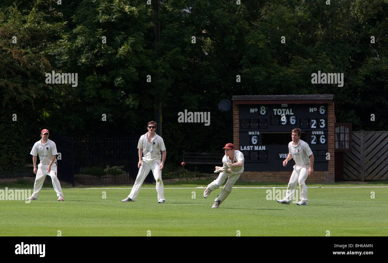 Ein Wicket-Keeper fängt den Ball, wie die Belege aussehen auf.  Bild von James Boardman Stockfoto