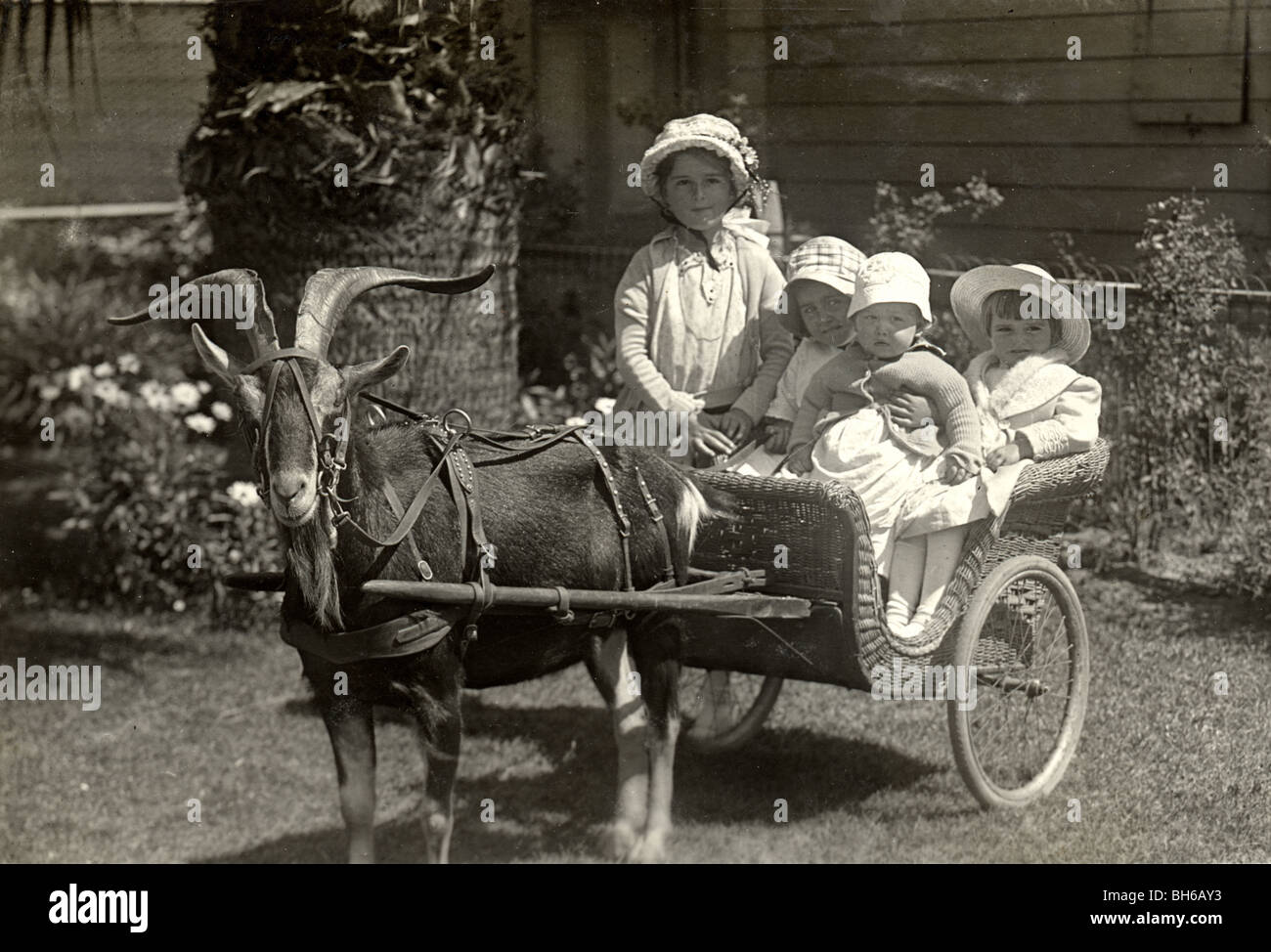 Vier Kinder mit Ziege Cart Stockfoto