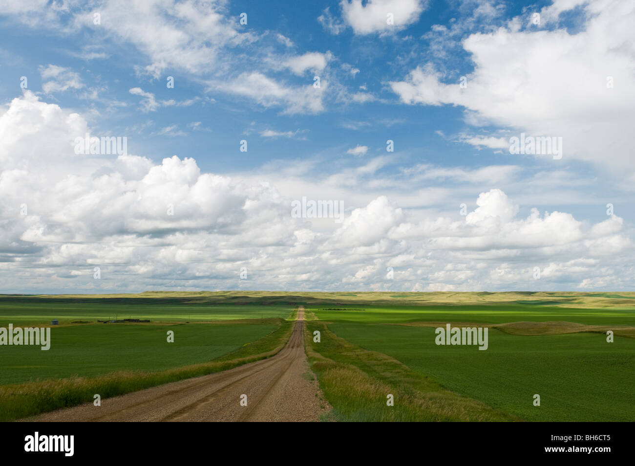 Palisander-Straße und grünen Feldern und dramatischer Himmel NW Opheim Stockfoto