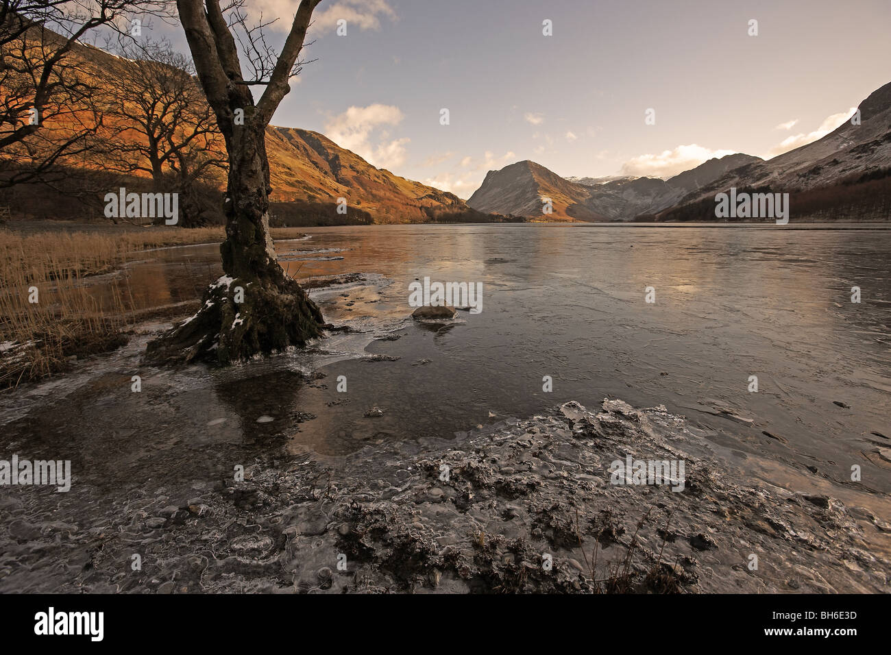 Buttermere Blick in Richtung Fleetwith Pike, Lake District National Park Cumbria England UK Stockfoto