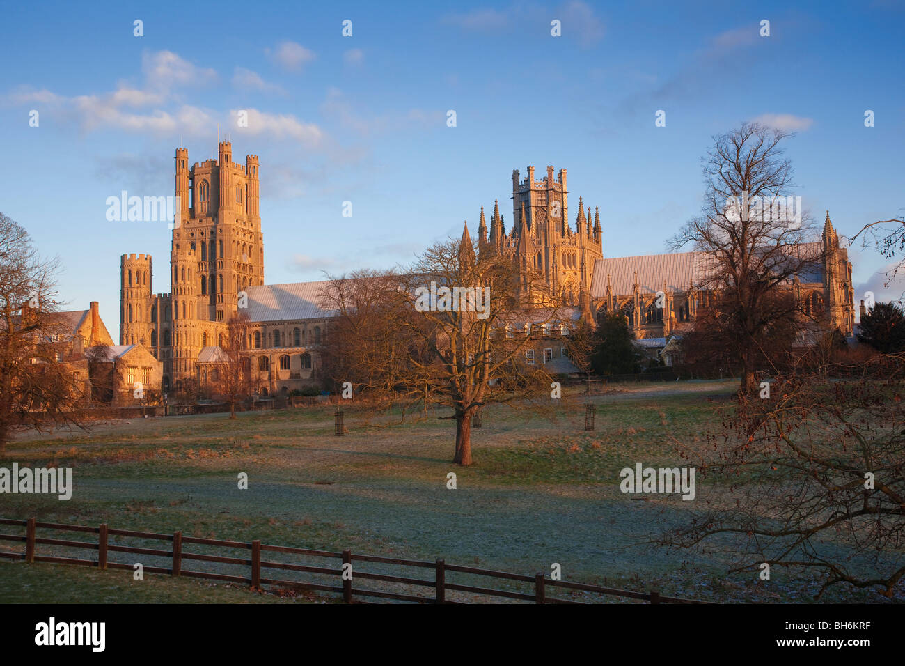 Kathedrale von Ely, Cambridgeshire Stockfoto