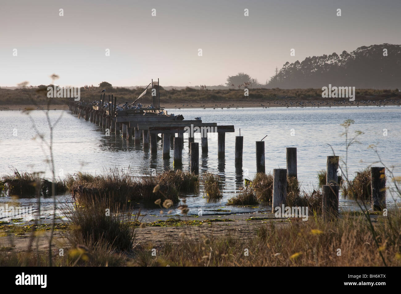 Billabong von Humboldt Bay, Eureka in Kalifornien, USA Stockfoto