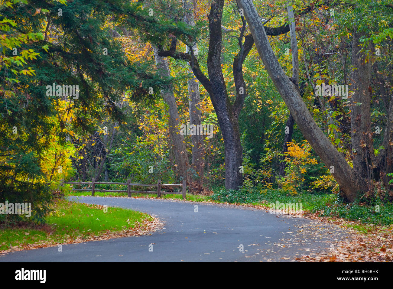 Bidwell Park im Herbst, Chico, Kalifornien Stockfoto