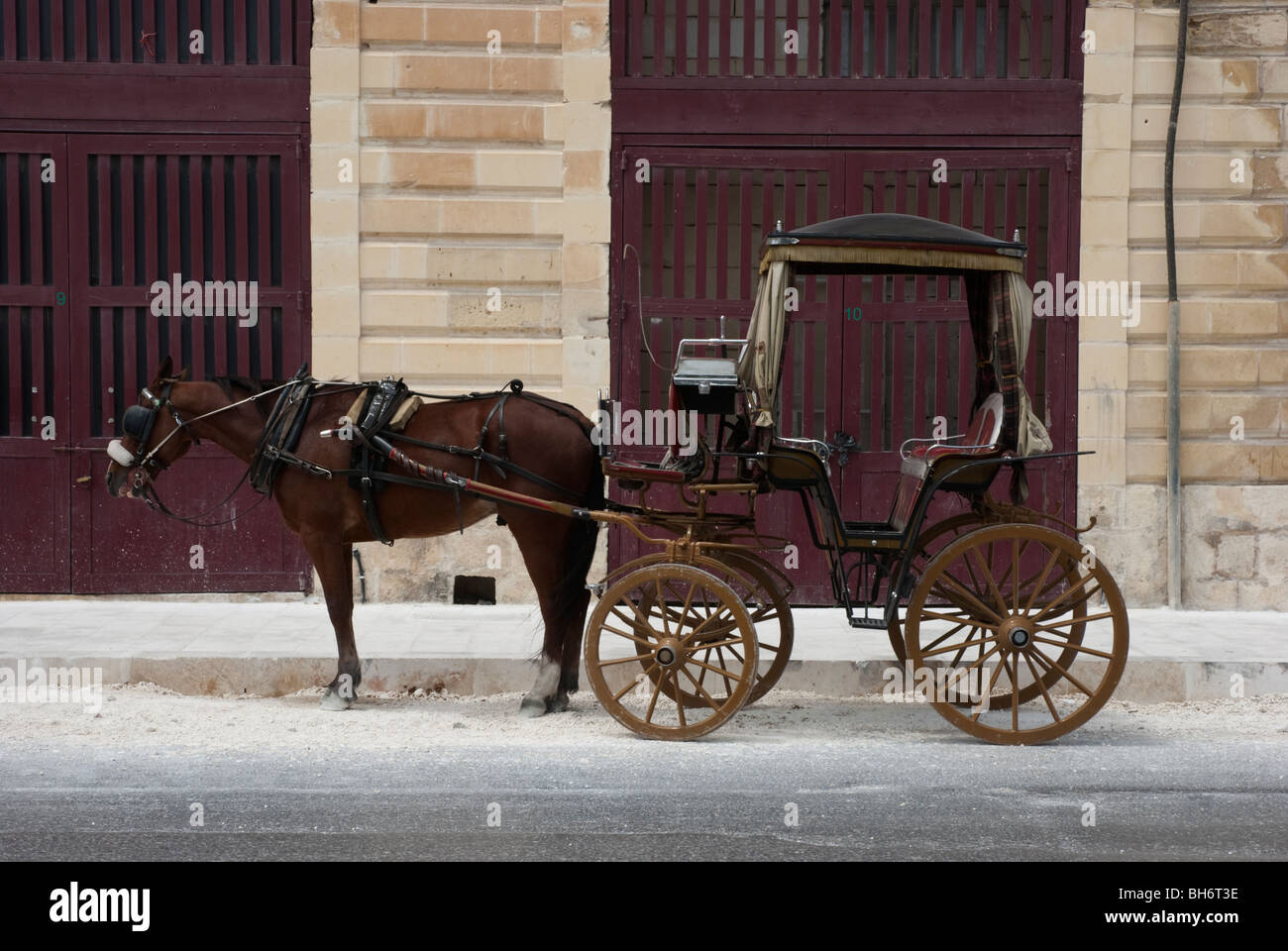Traditionellen Pferdekutsche in Valletta, Malta Stockfoto
