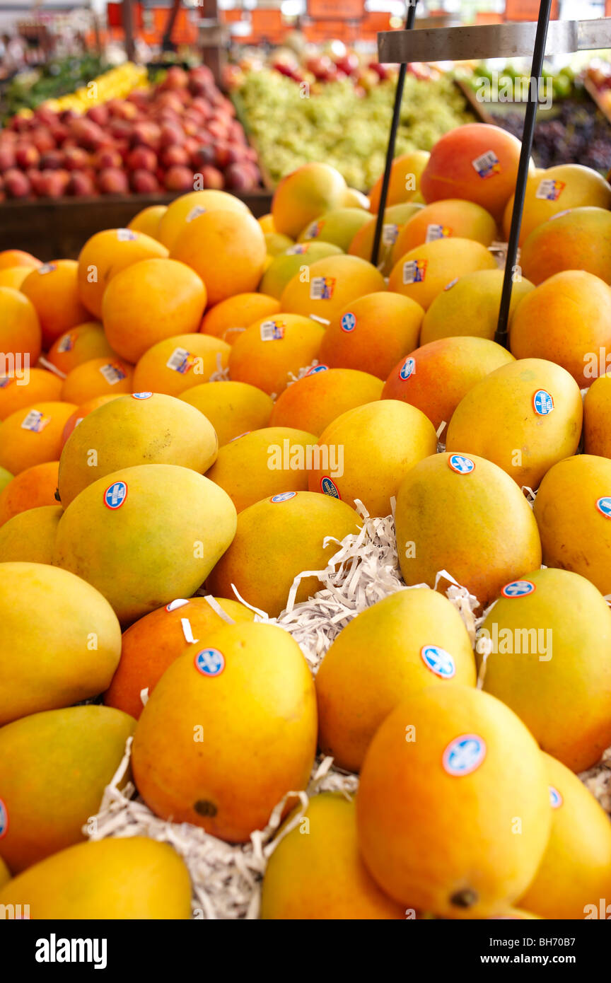 Frische tropische Mangos im Gemüseladen Stockfoto