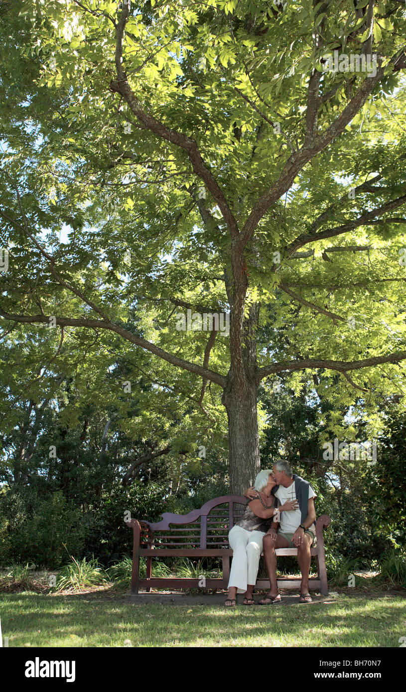 Älteres paar unter Baum Stockfoto