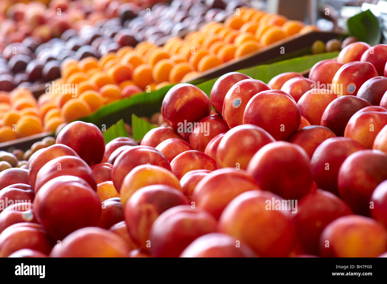 Frisches Obst auf grüne Lebensmittelhändler Stockfoto