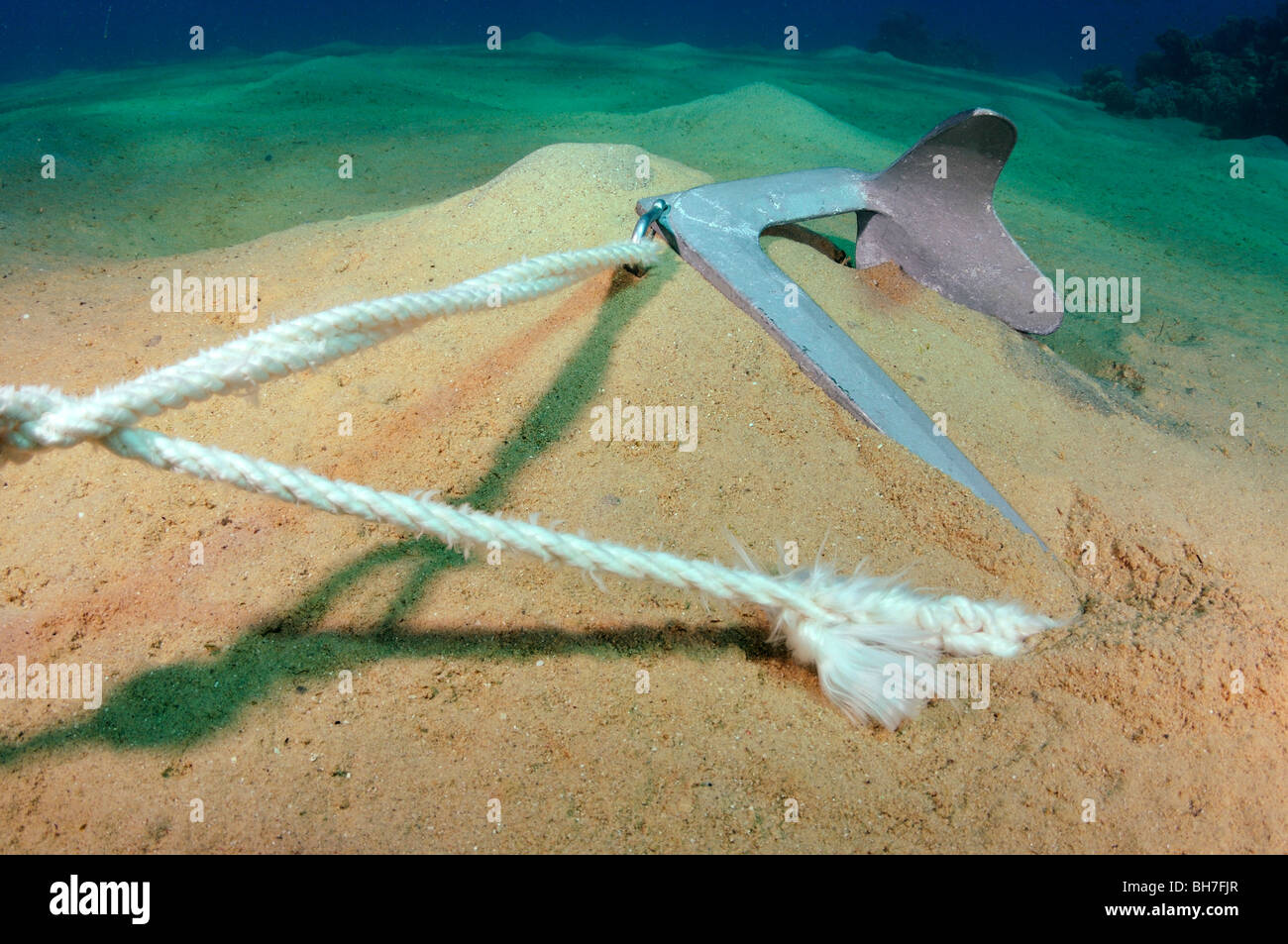 Kleines Boot Bruce oder Klaue Anker auf sandigen Meeresboden im Einsatz Stockfoto
