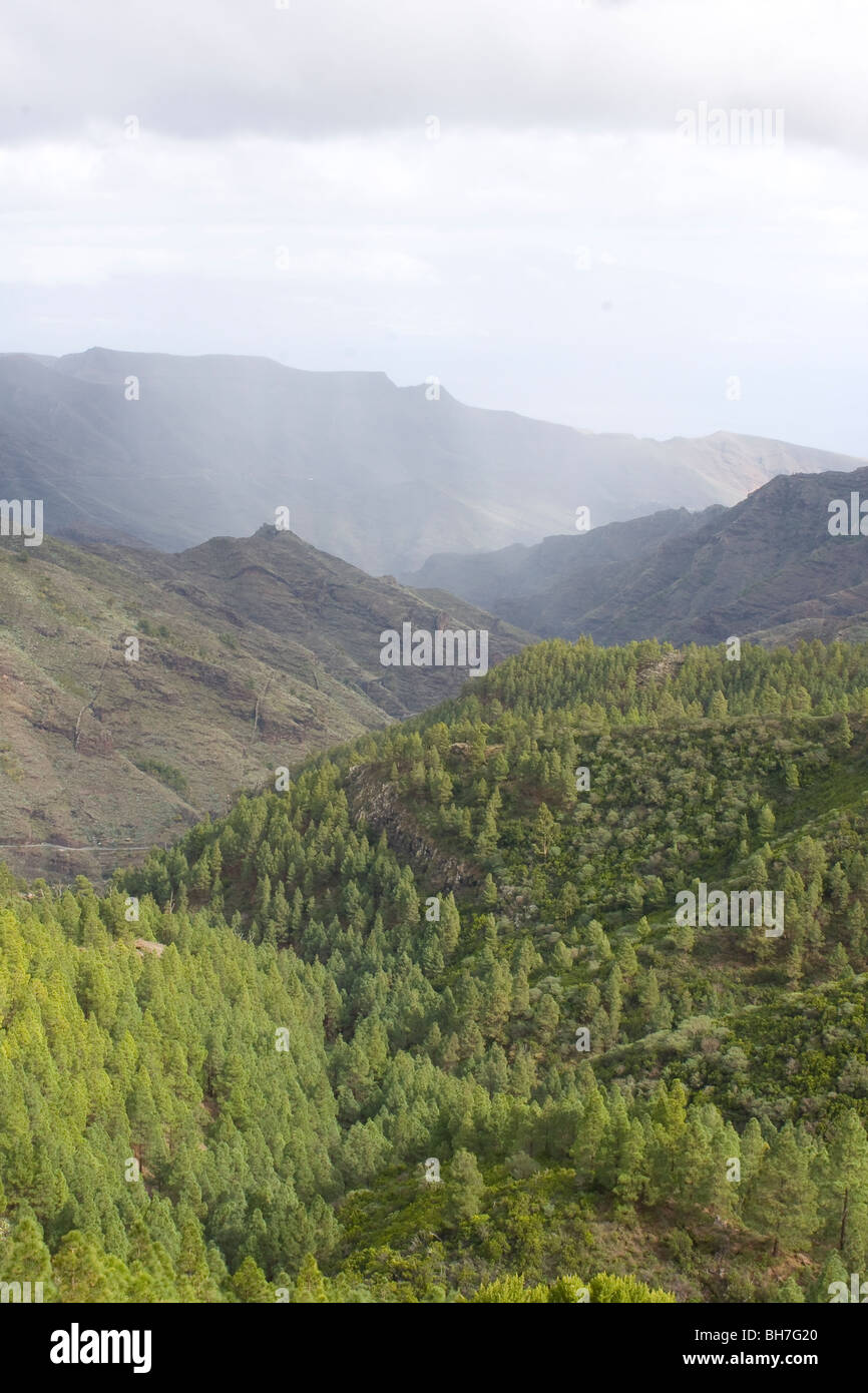 Blick vom Wanderweg in der Nähe von Garajonay National Park in der Nähe des Dorfes La Laha, La Gomara, Kanarische Inseln Stockfoto