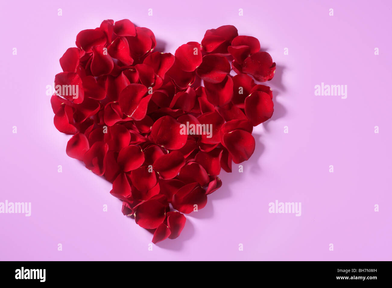 Roten Bluten Herzen Liebe Valentinstag Blumen Metapher Stockfotografie Alamy