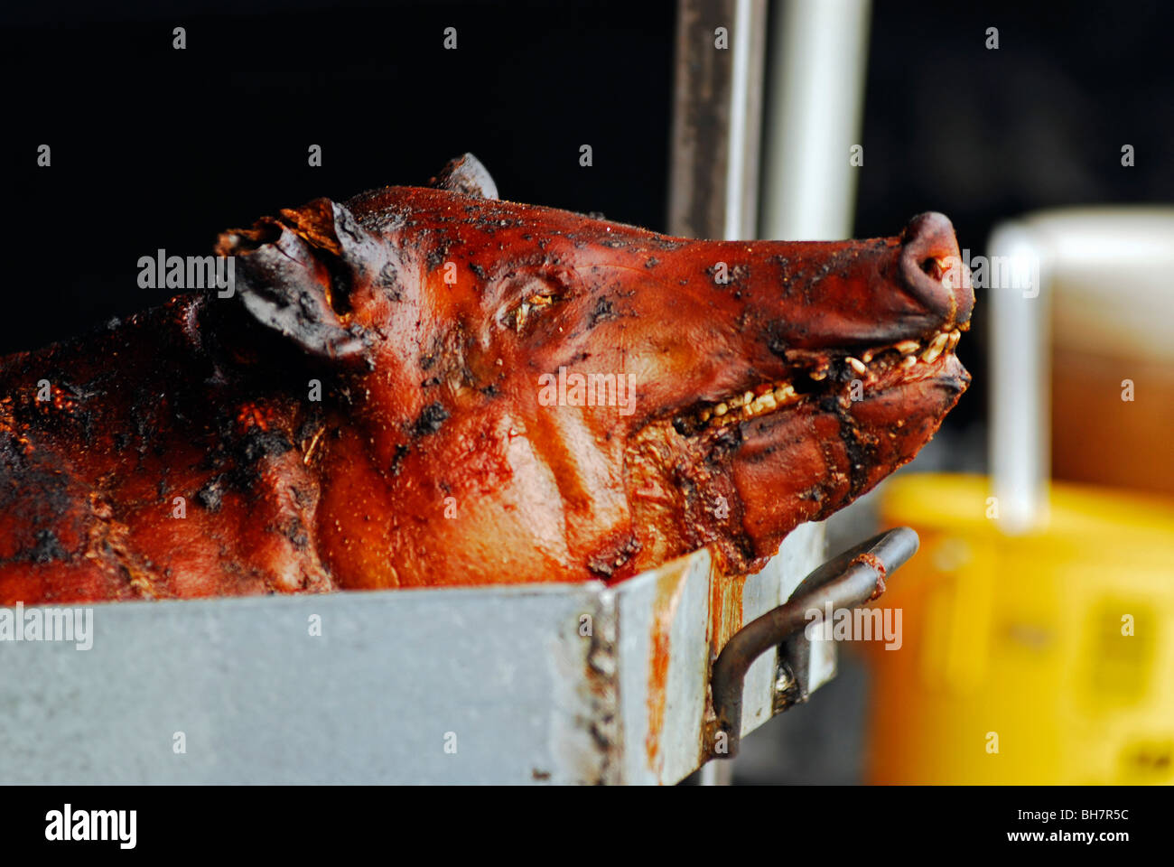 Ecuador, Otavalo, ein Spanferkel präsentiert komplett von Kopf bis Fuß auf eine eiserne Platte an einer Garküche in Nahaufnahme Stockfoto