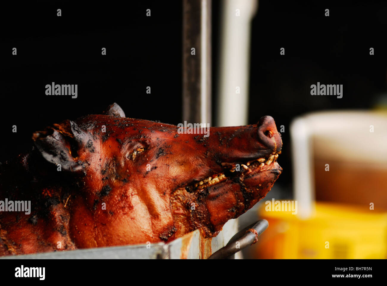 Ecuador, Otavalo, ein Spanferkel präsentiert komplett von Kopf bis Fuß auf eine eiserne Platte an einer Garküche in Nahaufnahme Stockfoto