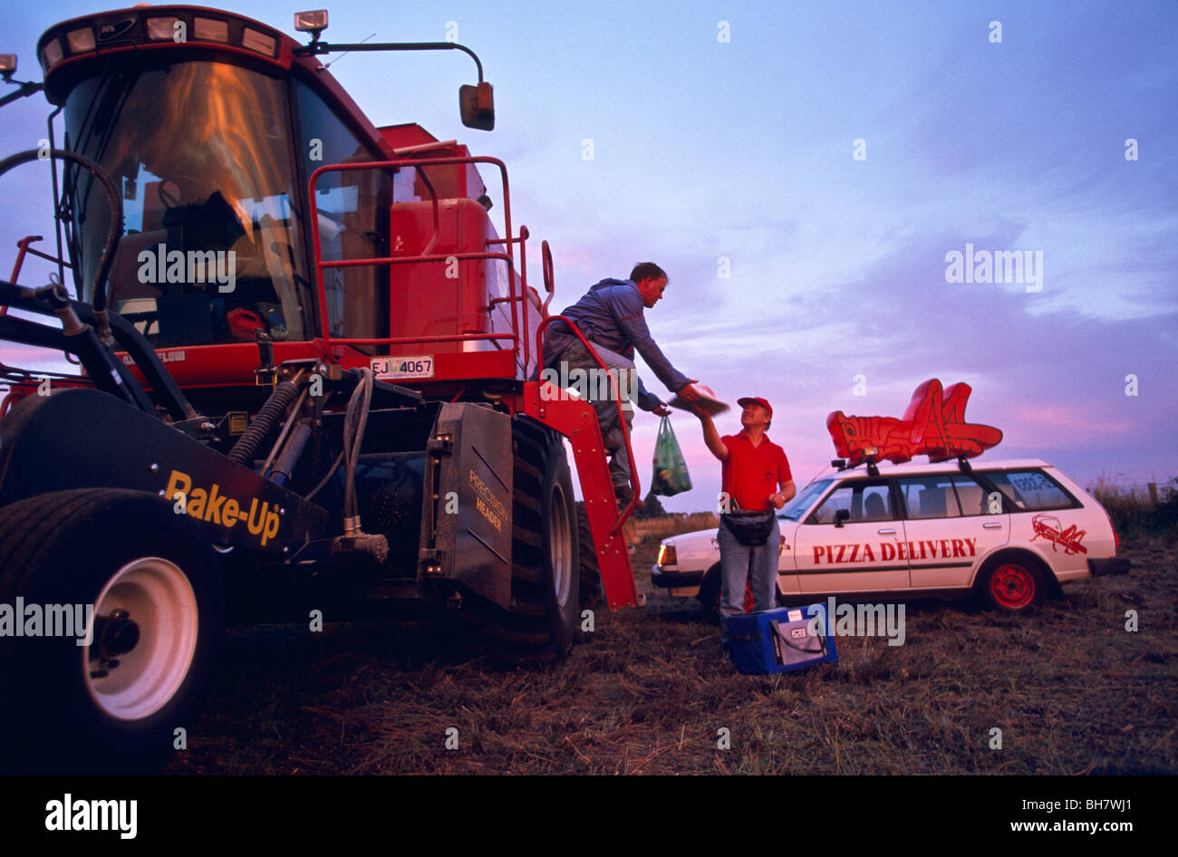 Pizza-Bringdienst und Ernte Pyrethrum, Australien Stockfoto