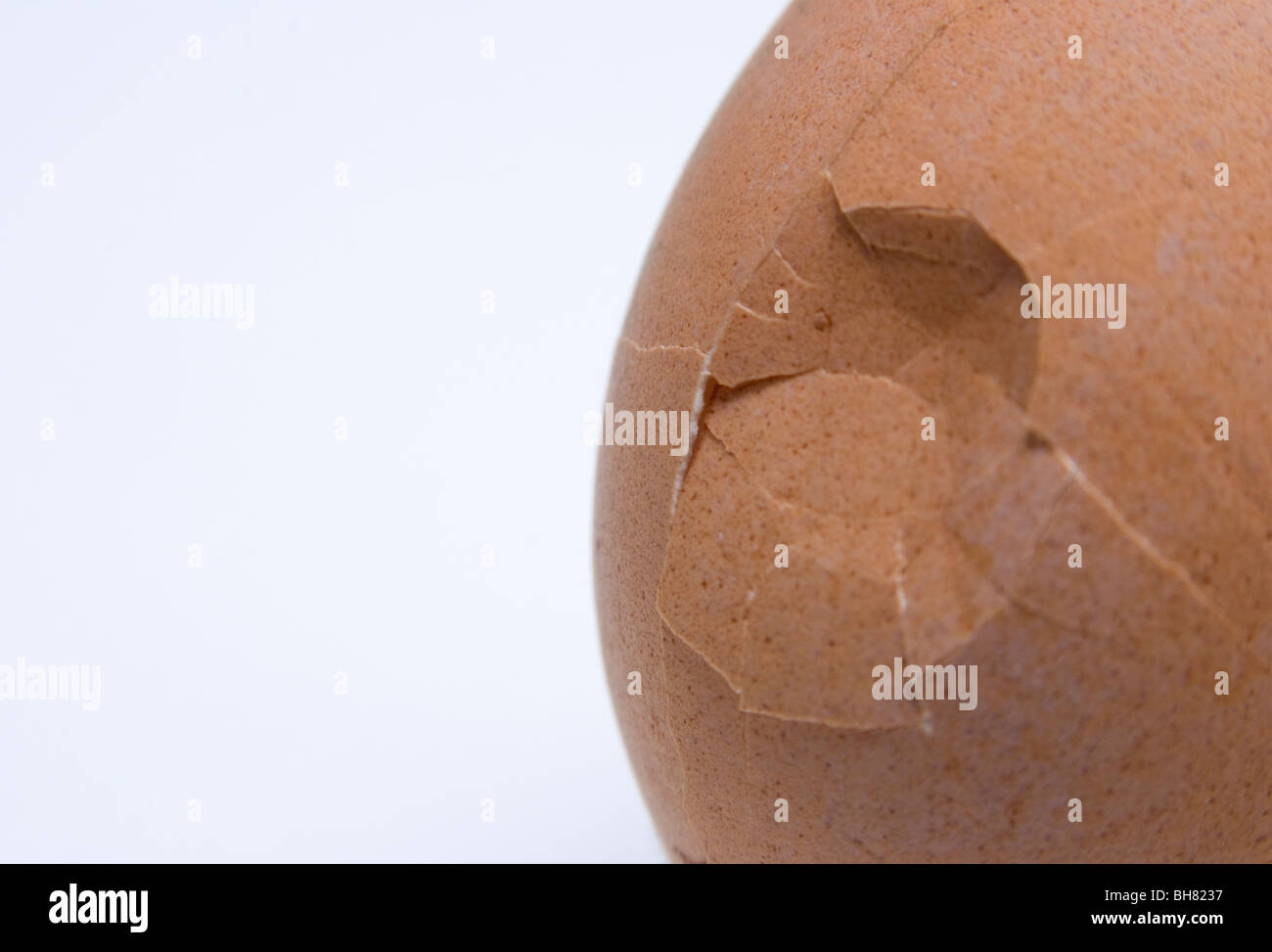 Nahaufnahme von einem beschädigten Ei Stockfoto