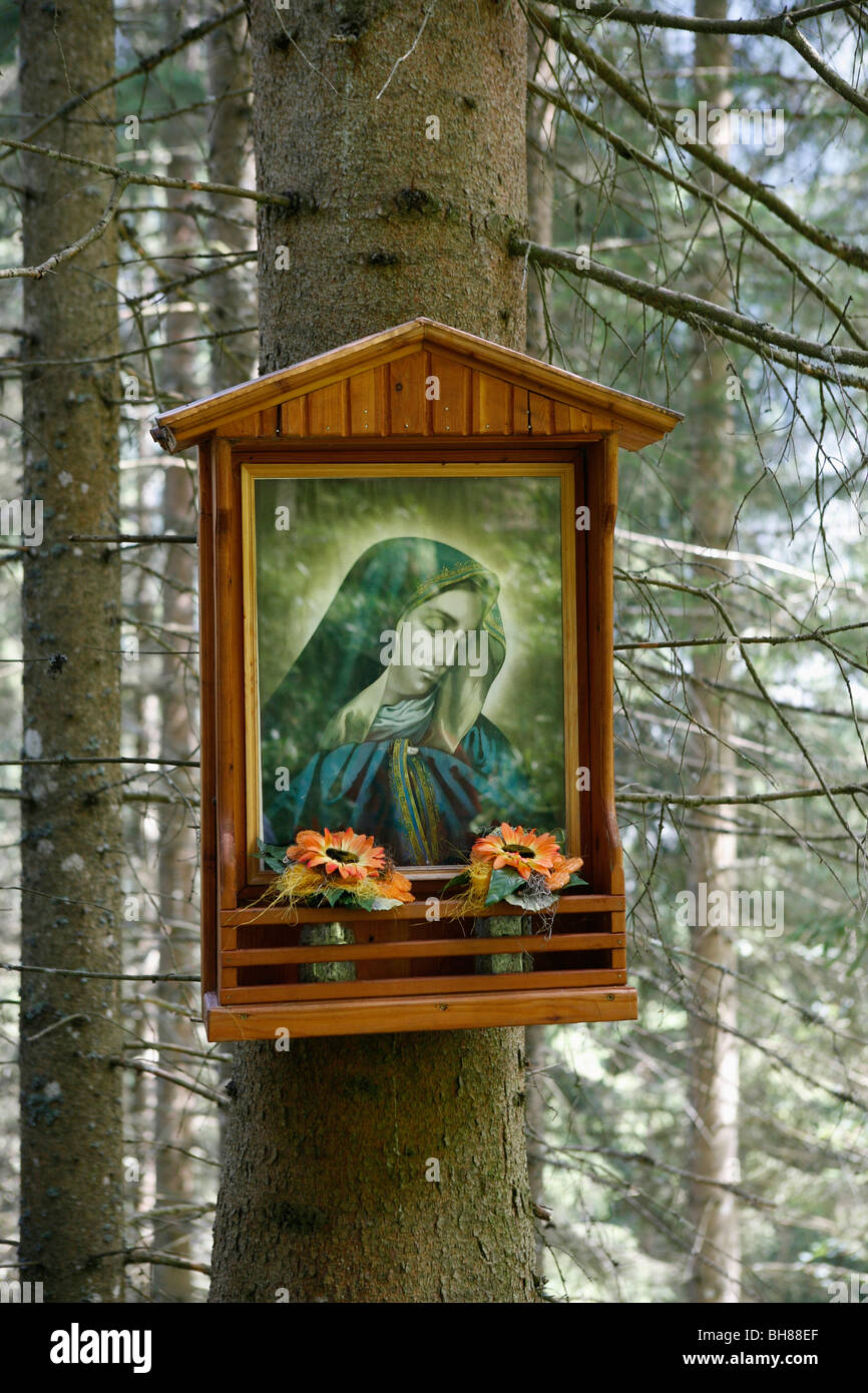 Schrein der Jungfrau Maria hängt an einem Baum im Wald Stockfoto