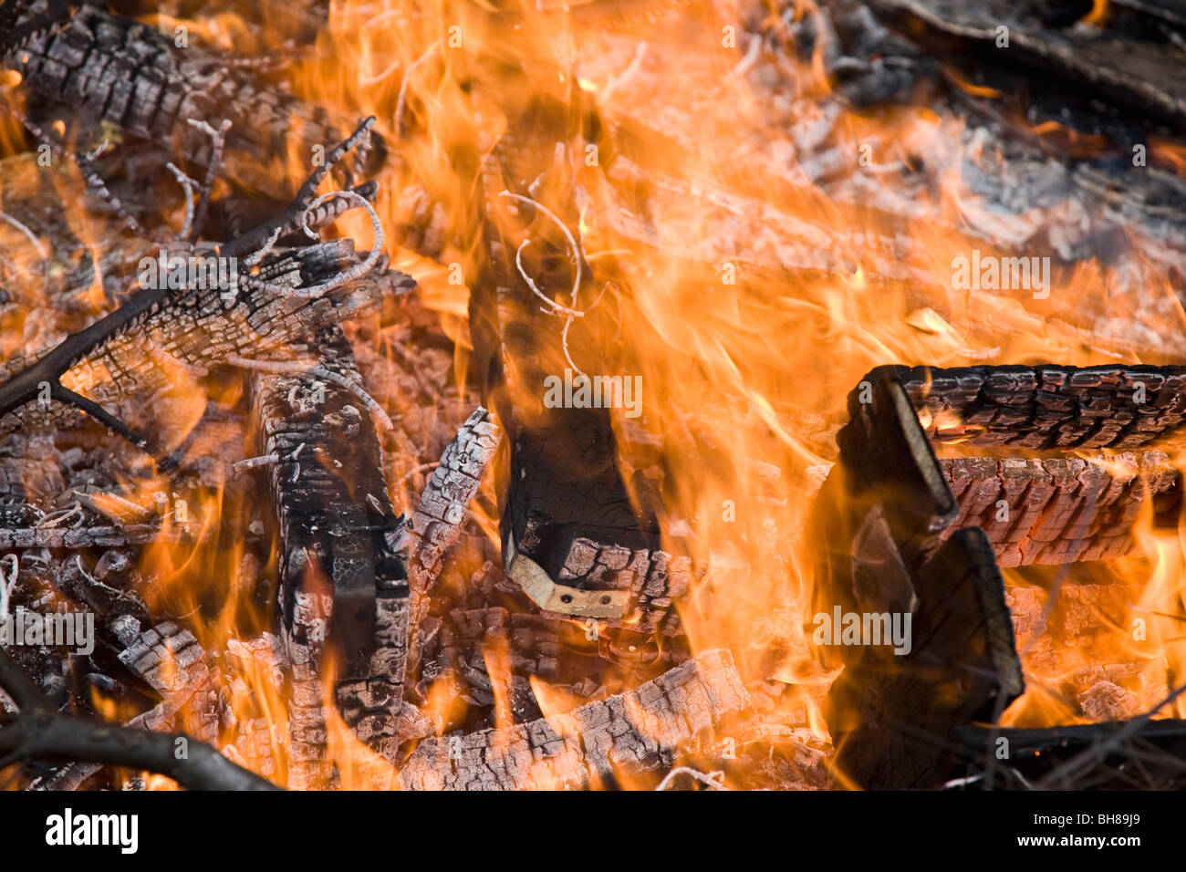 Detail eines Waldbrandes Stockfoto