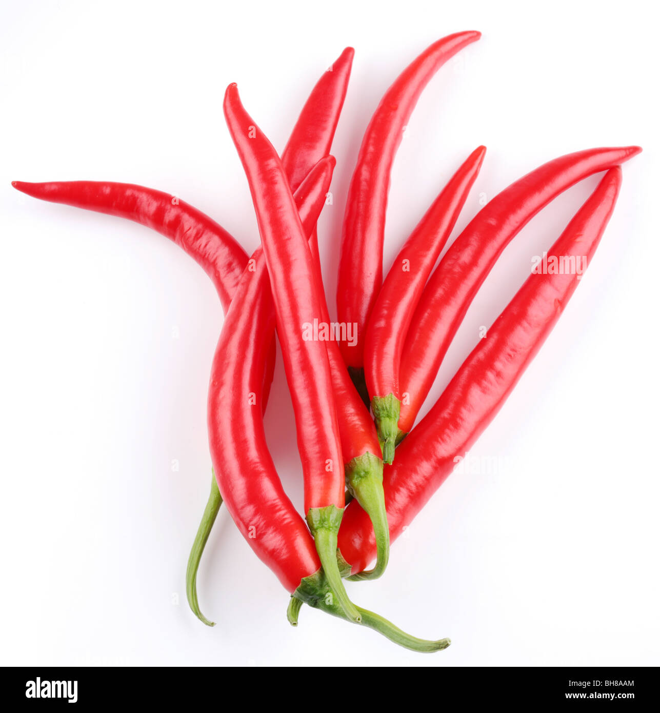 Schoten würzigen roten Chilischoten auf weißem Hintergrund Stockfoto