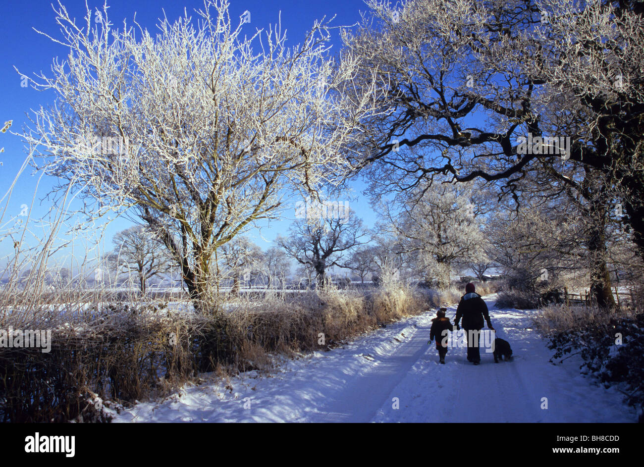 Mutter bei einem Winter-Spaziergang mit Sohn und Hund Stockfoto
