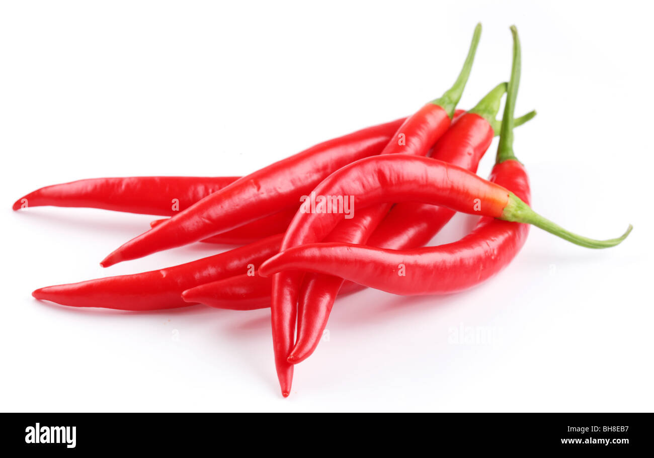 Schoten würzigen roten Chilischoten auf weißem Hintergrund Stockfoto