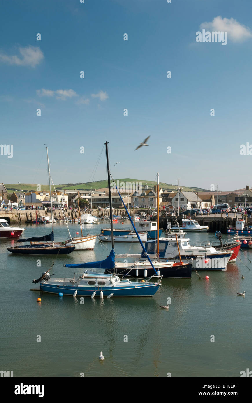 Boote in West Bay harbour Bridport Dorset Stockfoto