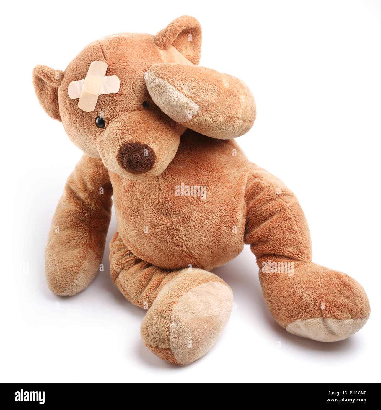 Krank Teddybär mit Gips auf den Kopf. Isoliert auf weißem Hintergrund. Stockfoto