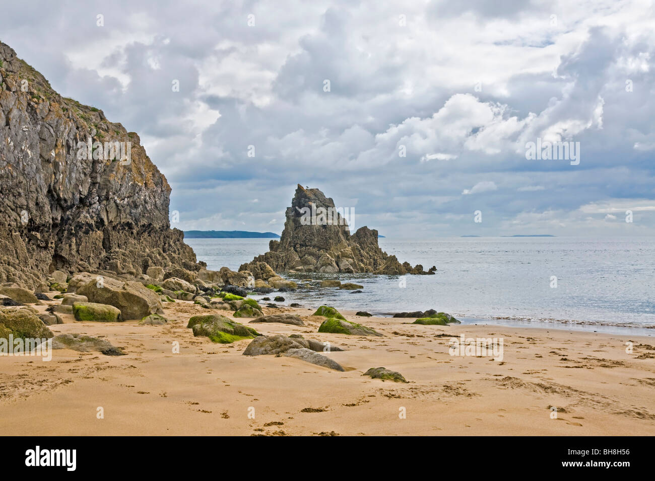 Strand von Barafundle Bay, Pembrokeshire Stockfoto